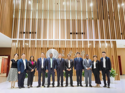 图片8 图片8